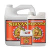 Nirvana
