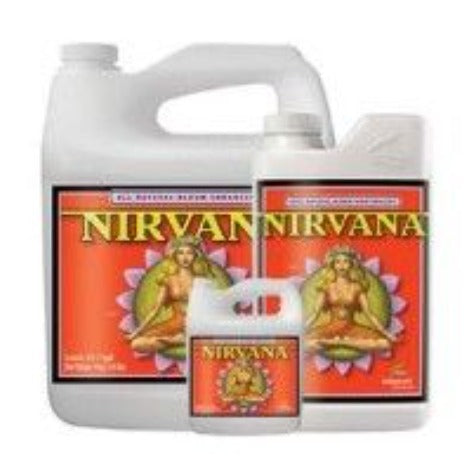 Nirvana