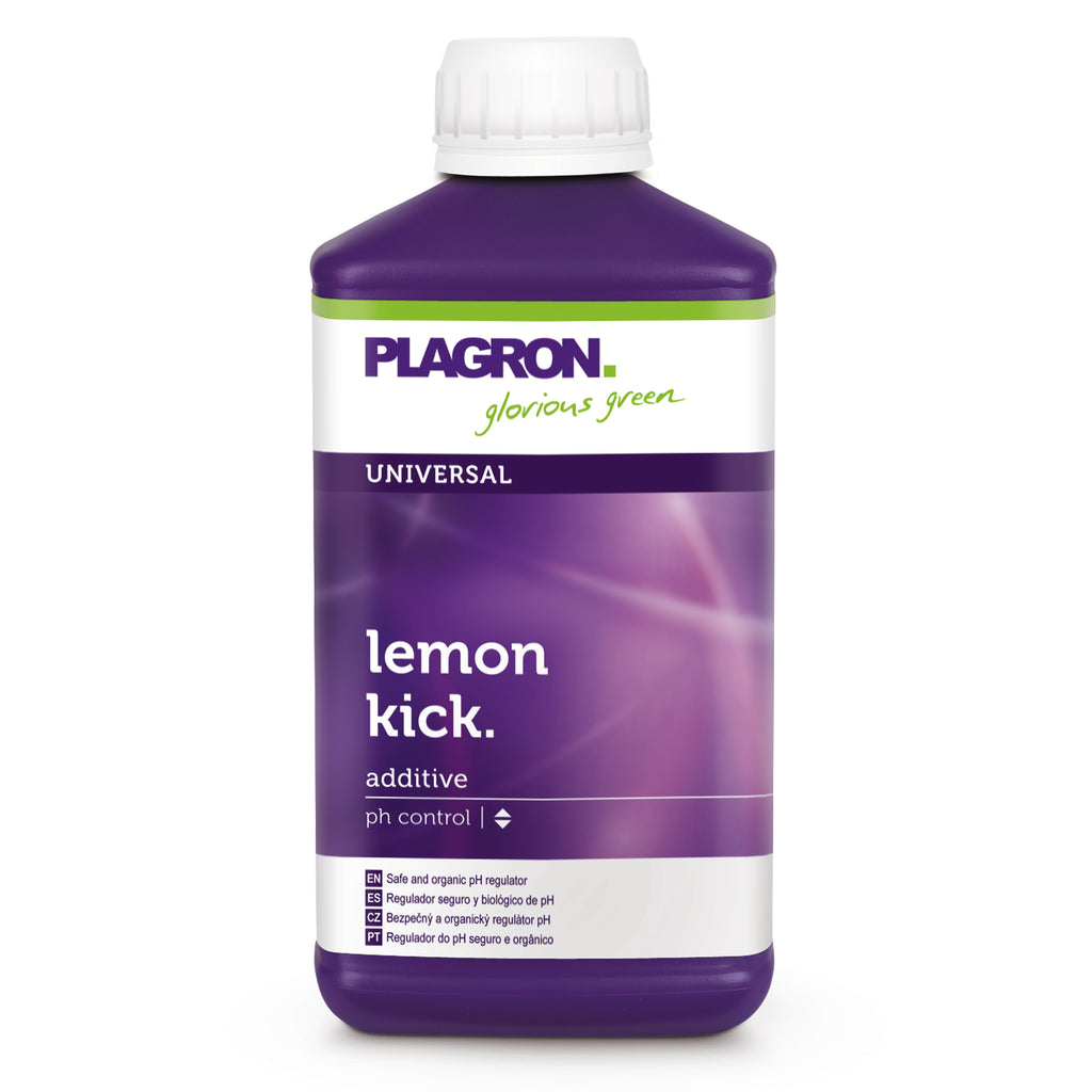 Lemon Kick
