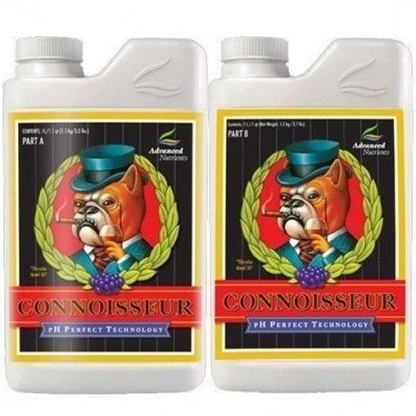 Connoisseur Bloom A+B Ph perfect