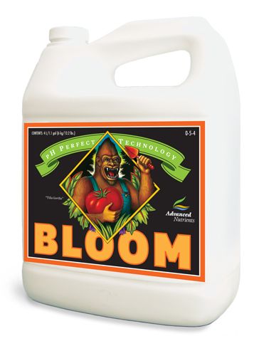Bloom Ph perfect