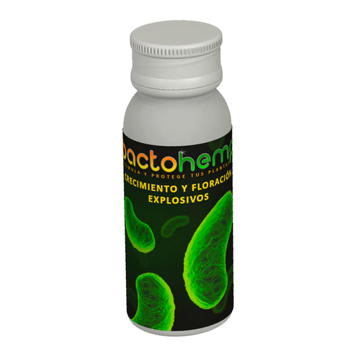 Bactohemp 10g