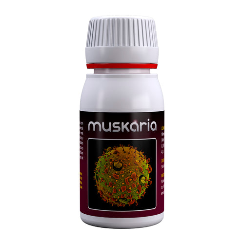 Muskaria 60ml