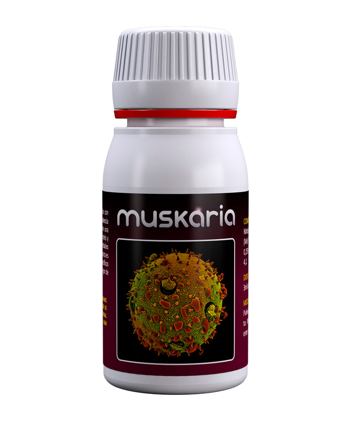 Muskaria 60ml