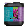 Blossom Builder Liquido 5L