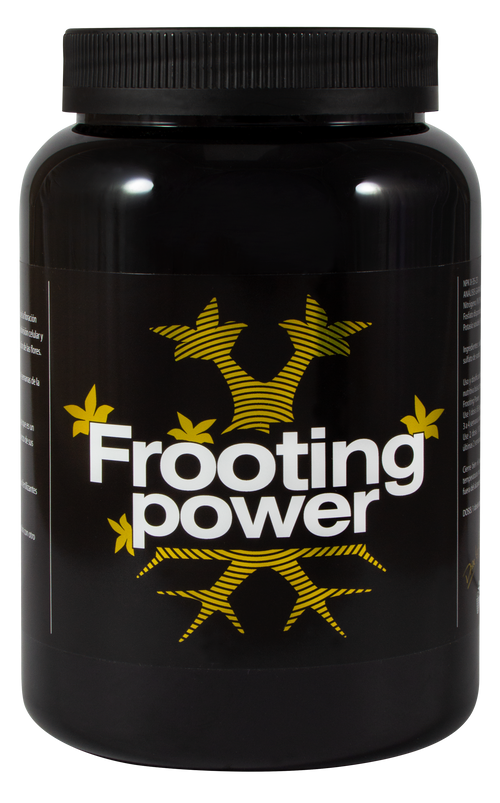 Frooting Power Bac