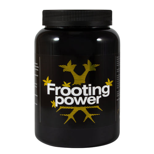 Frooting Power 1Kg