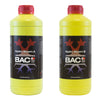 Hidro Bloom A&B 1L BAC