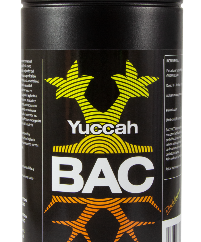 Yuccah bac