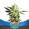 Gorilla Glue Faster (4 Semillas feminizadas)