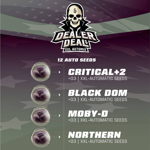 Dealer Deal XXL Automix (12 semillas)