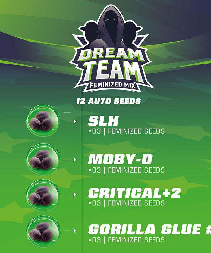Dream Team Feminized Mix (12 semillas)