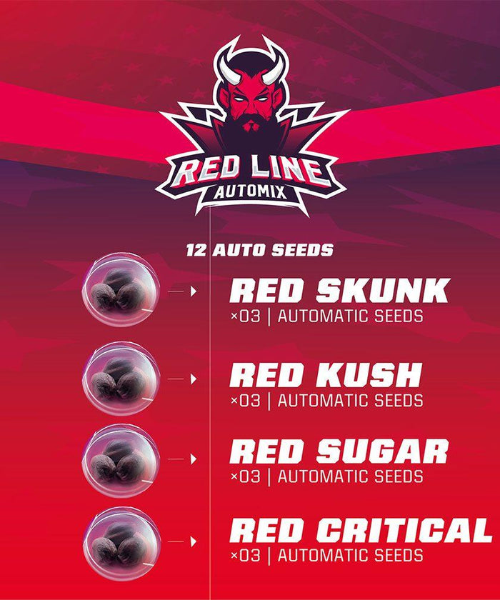 Red Line Automix (12 Semillas)