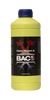 Coco A+B Bloom BAC