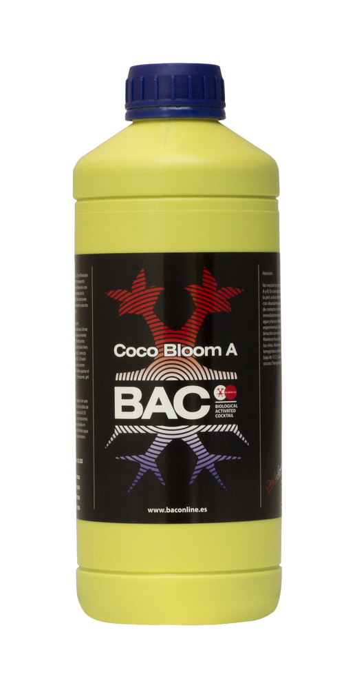 Coco A+B Bloom BAC