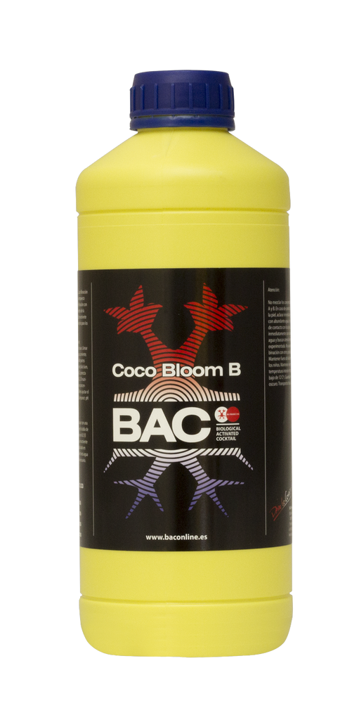 Coco A+B Bloom BAC