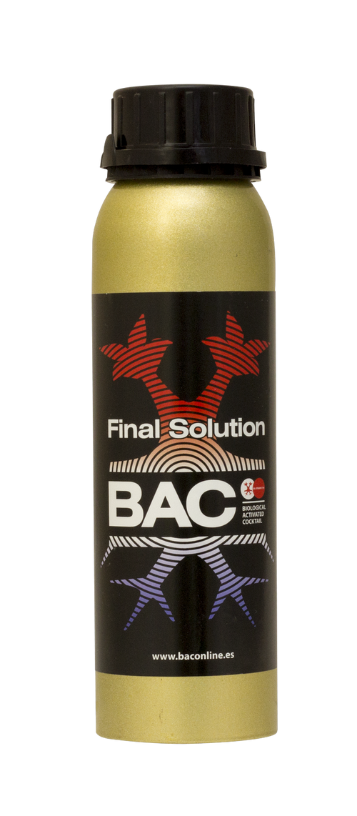 Final Solution BAC