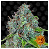 Strawberry Lemonade (10 semillas feminizadas)