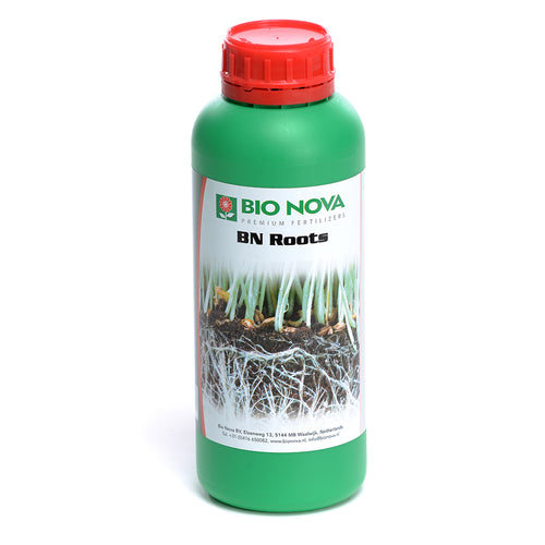 BN Roots 1L