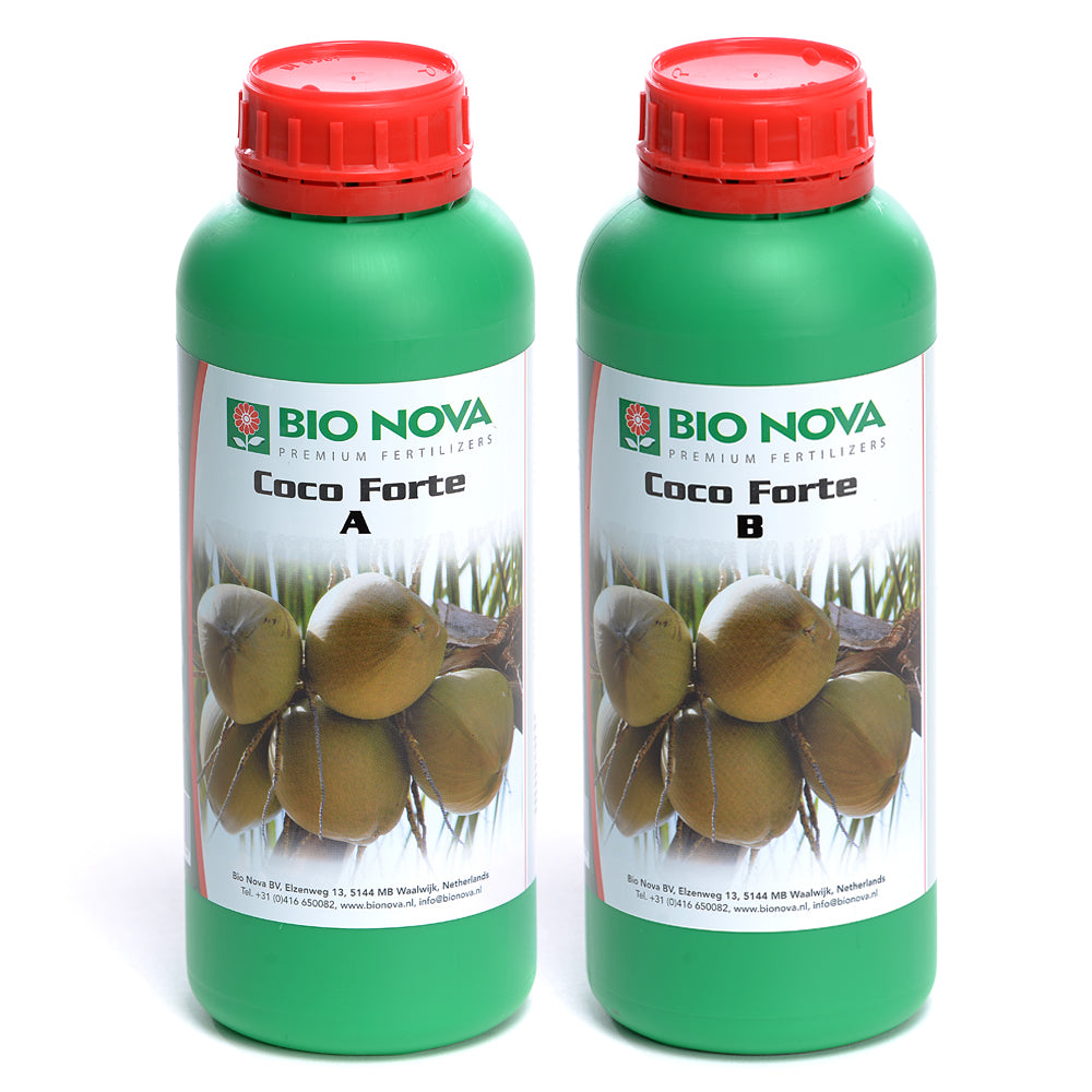 Coco Forte A+B 1L