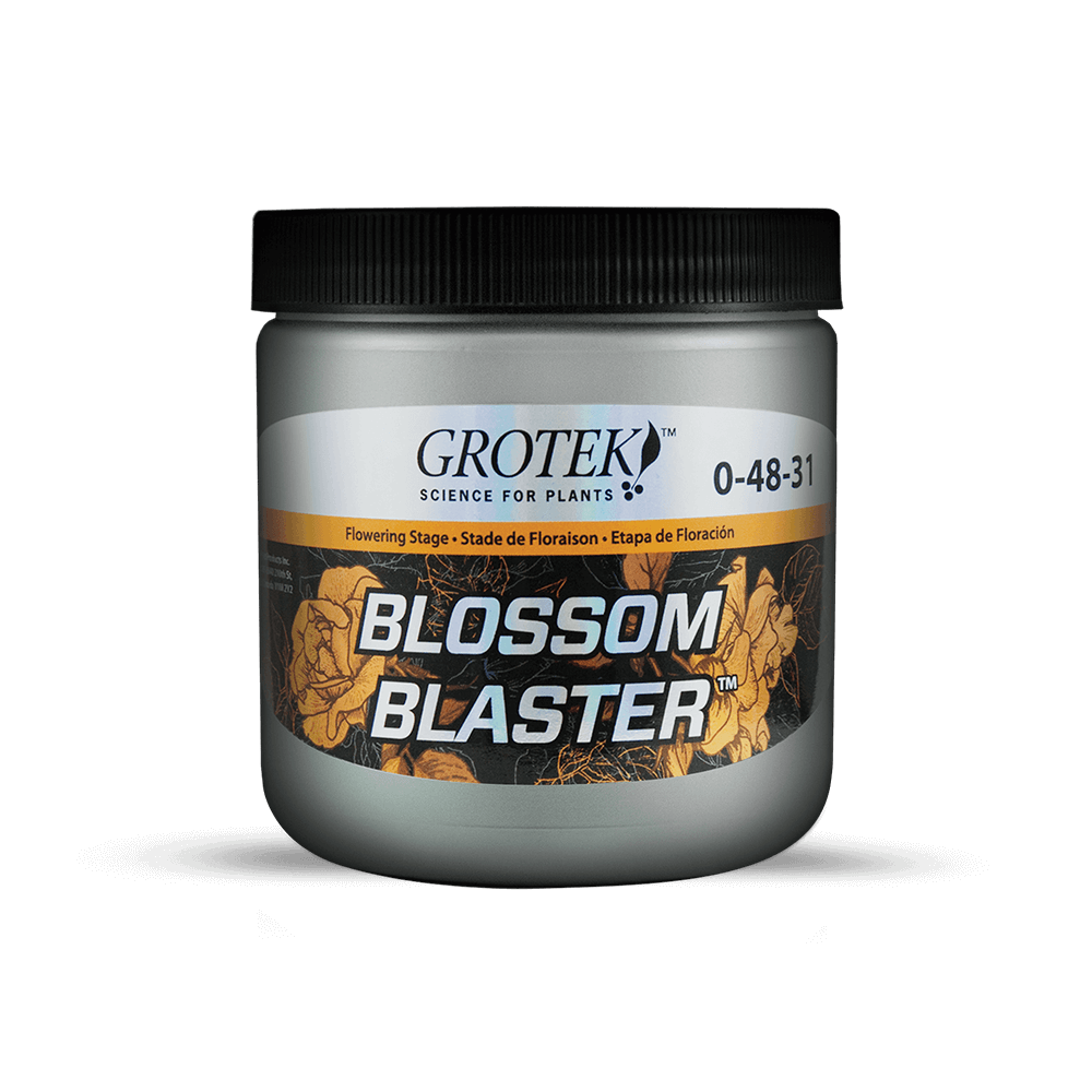 Blossom Blaster GROTEK
