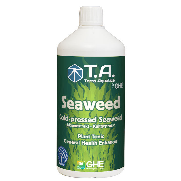 Seaweed (G.O Seaweed) ghe