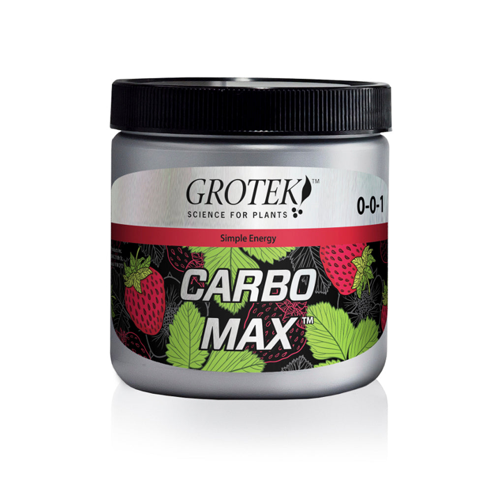 Carbo Max 100g