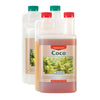 Coco A+B CANNA