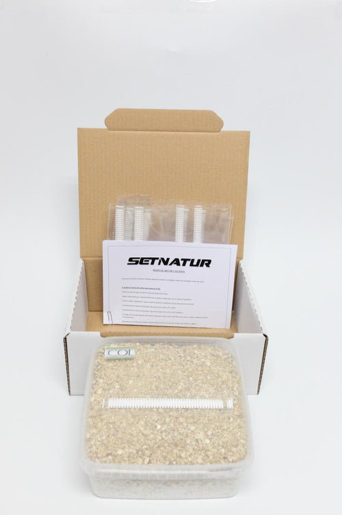 Pan de Setas Colombiana