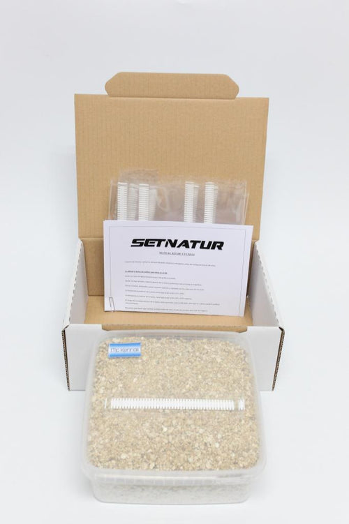 Pan de Setas Mc Kennaii