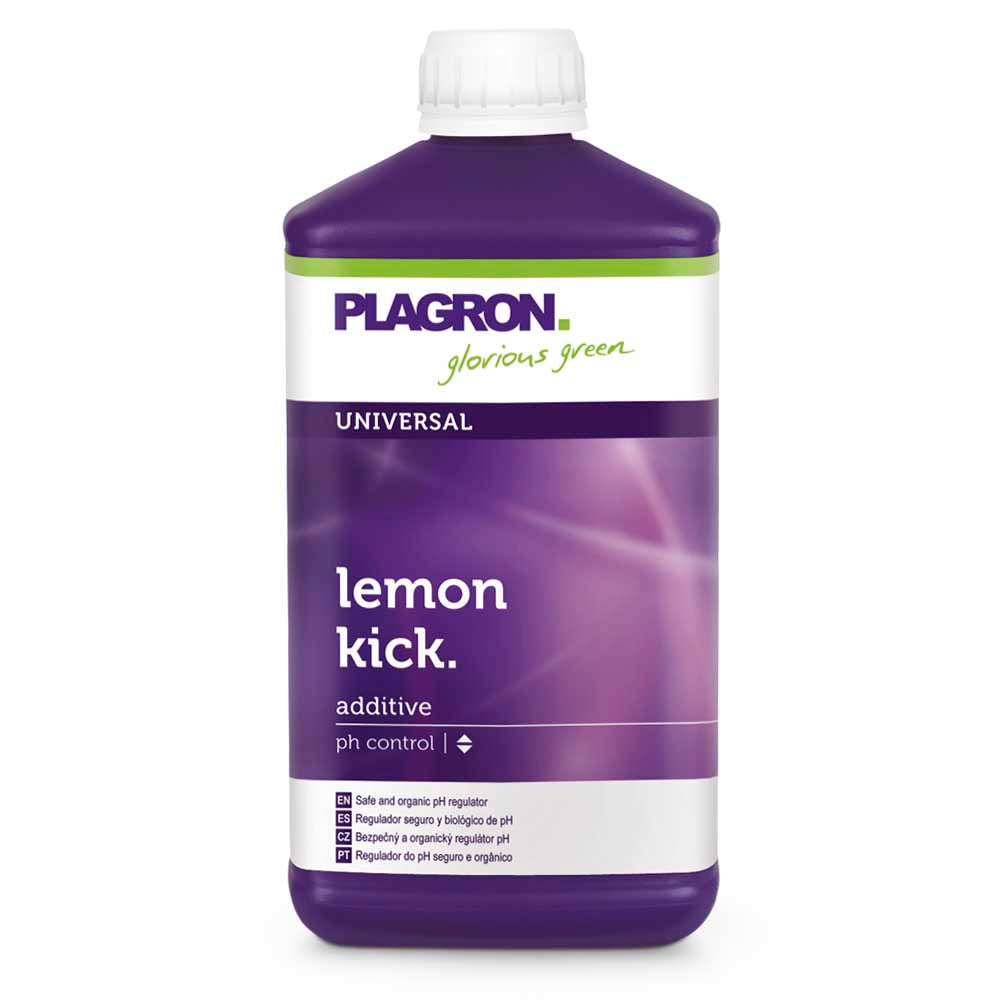 Lemon Kick
