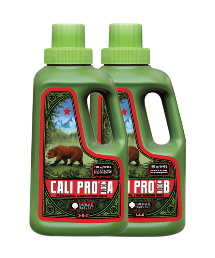 Cali Pro Bloom A+B  Prof 2 Part