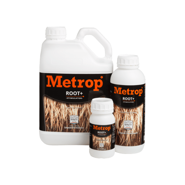 ROOT+ Metrop
