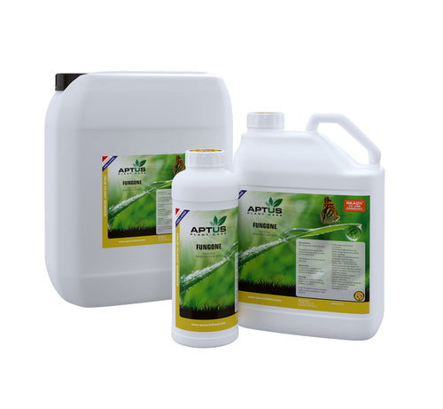 Fungone Aptus