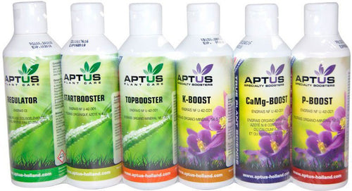 Indoor Set Pro Aptus