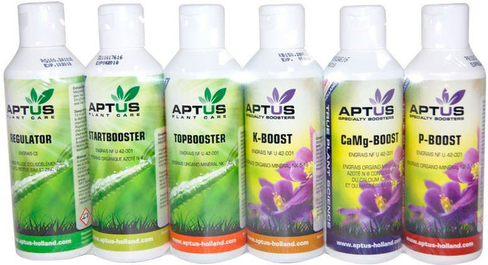 Indoor Set Pro Aptus