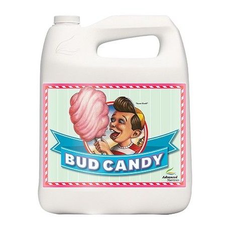 Bud Candy