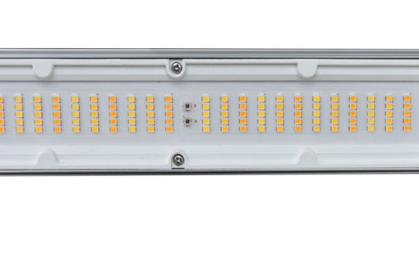 LED 660w PRO 2.9