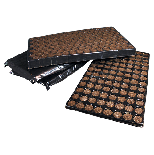 Bandeja monkey klone 104 alv