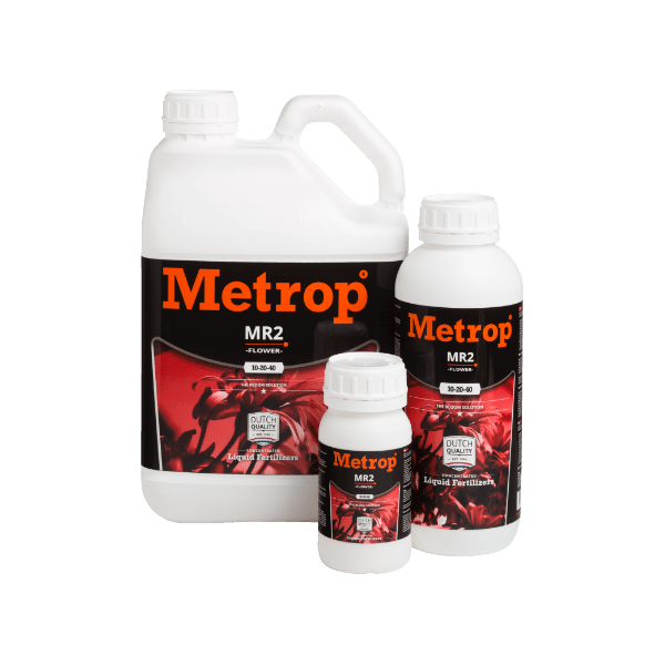 MR2-Bloom Metrop
