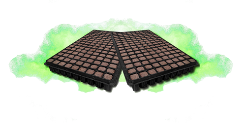 Bandeja Neix (Clonacion)