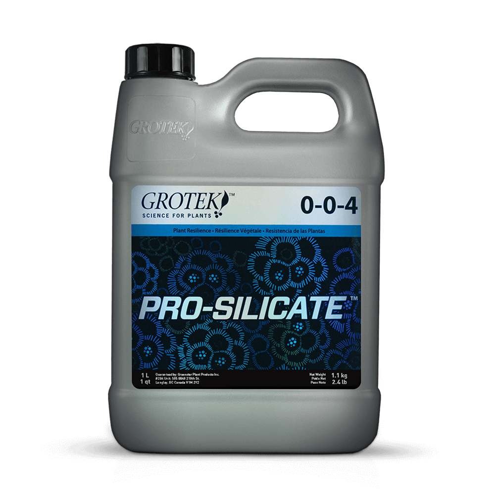 Pro Silicate GROTEK